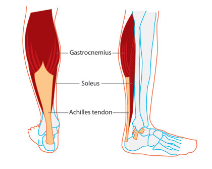 What Causes Tight Calf Muscles (And How Do You Relax Them)?
