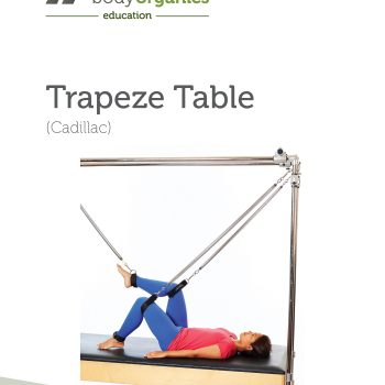 Pilates Trapeze Table